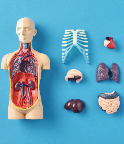 Beverly Parmer Reflexology